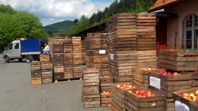20 ton jabłek dla mieszkańców!