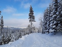 Ferie w Karkonoskim Parku Narodowym