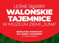 Walońskie tajemnice