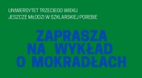 Wykład o mokradłach