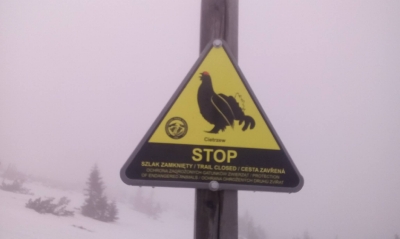 UWAGA! Zamknięte szlaki dla ochrony rzadkich gatunków ptaków