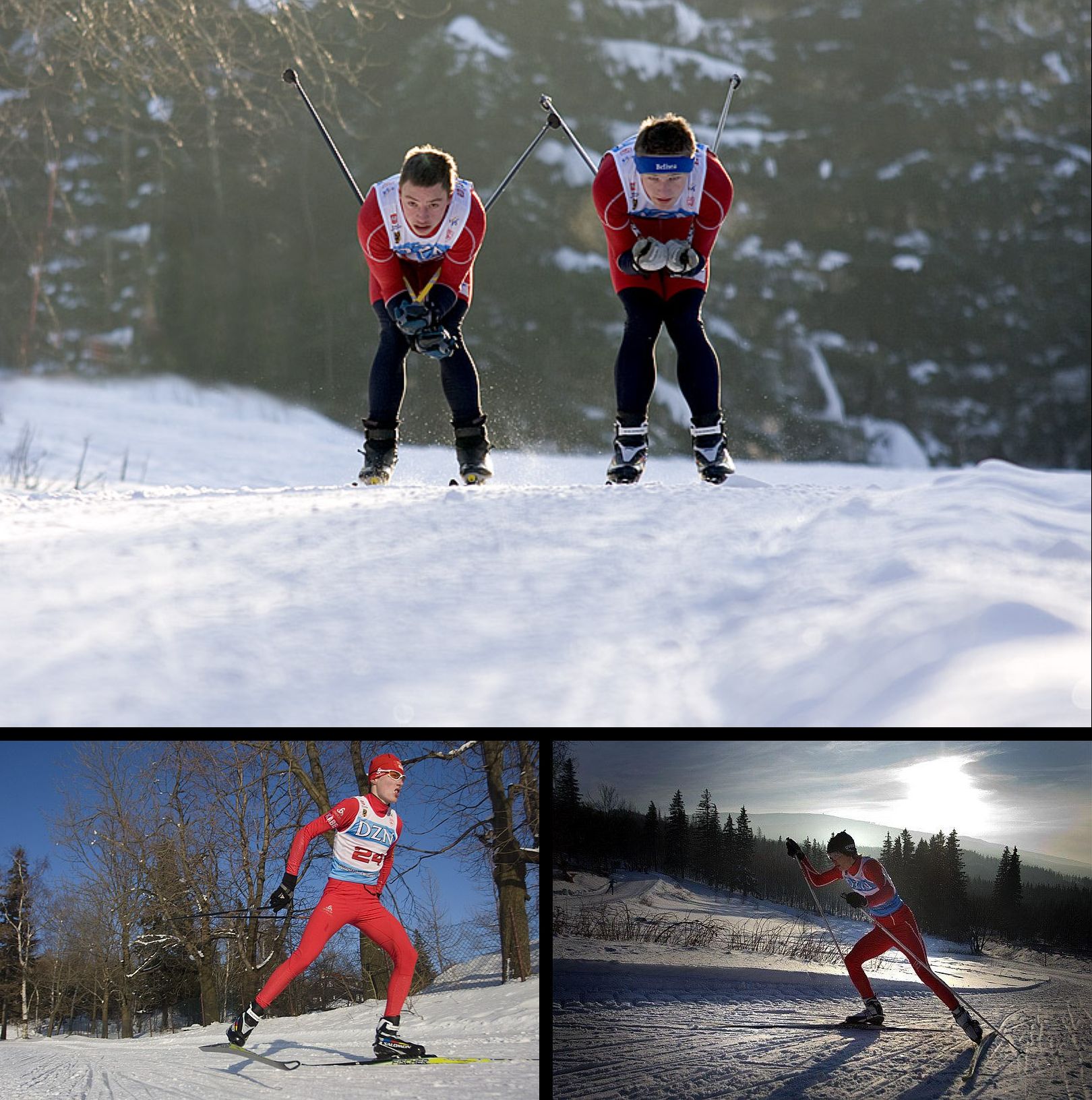 Biegacze narciarscy na zimowej trasie. W Szklarskiej Porębie-Jakuszycach zostaną rozegrane biegi narciarskie