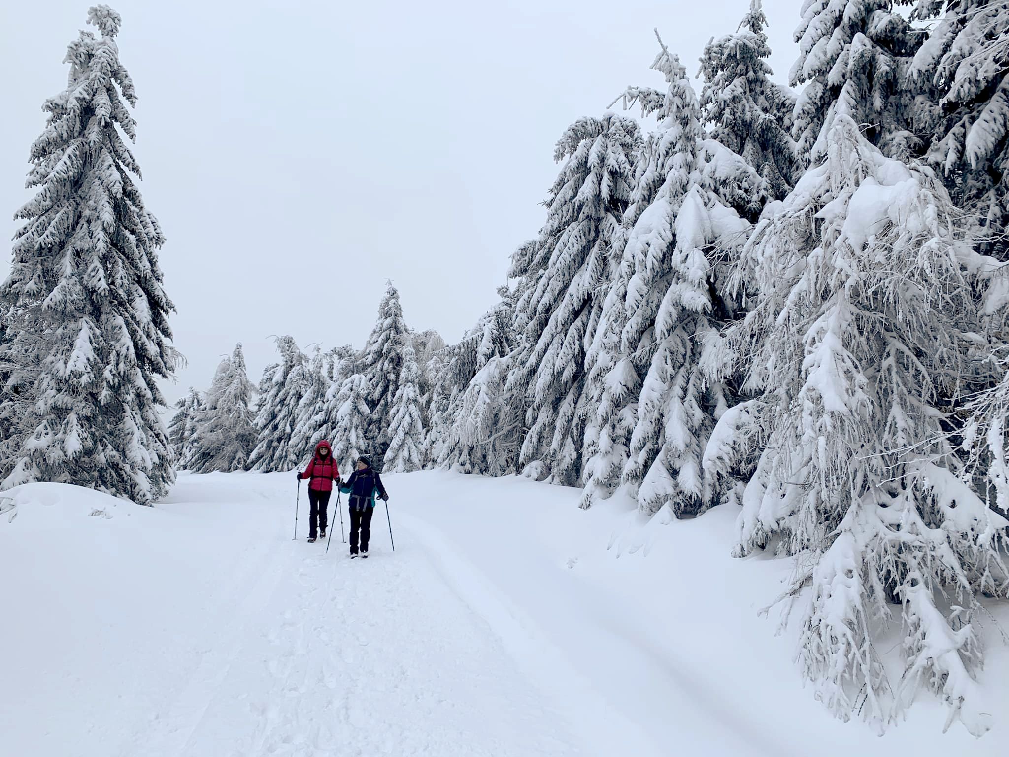 Turystki wędrujące po leśnej, zaśnieżonej drodze (autor: Aneta Strojanowska)