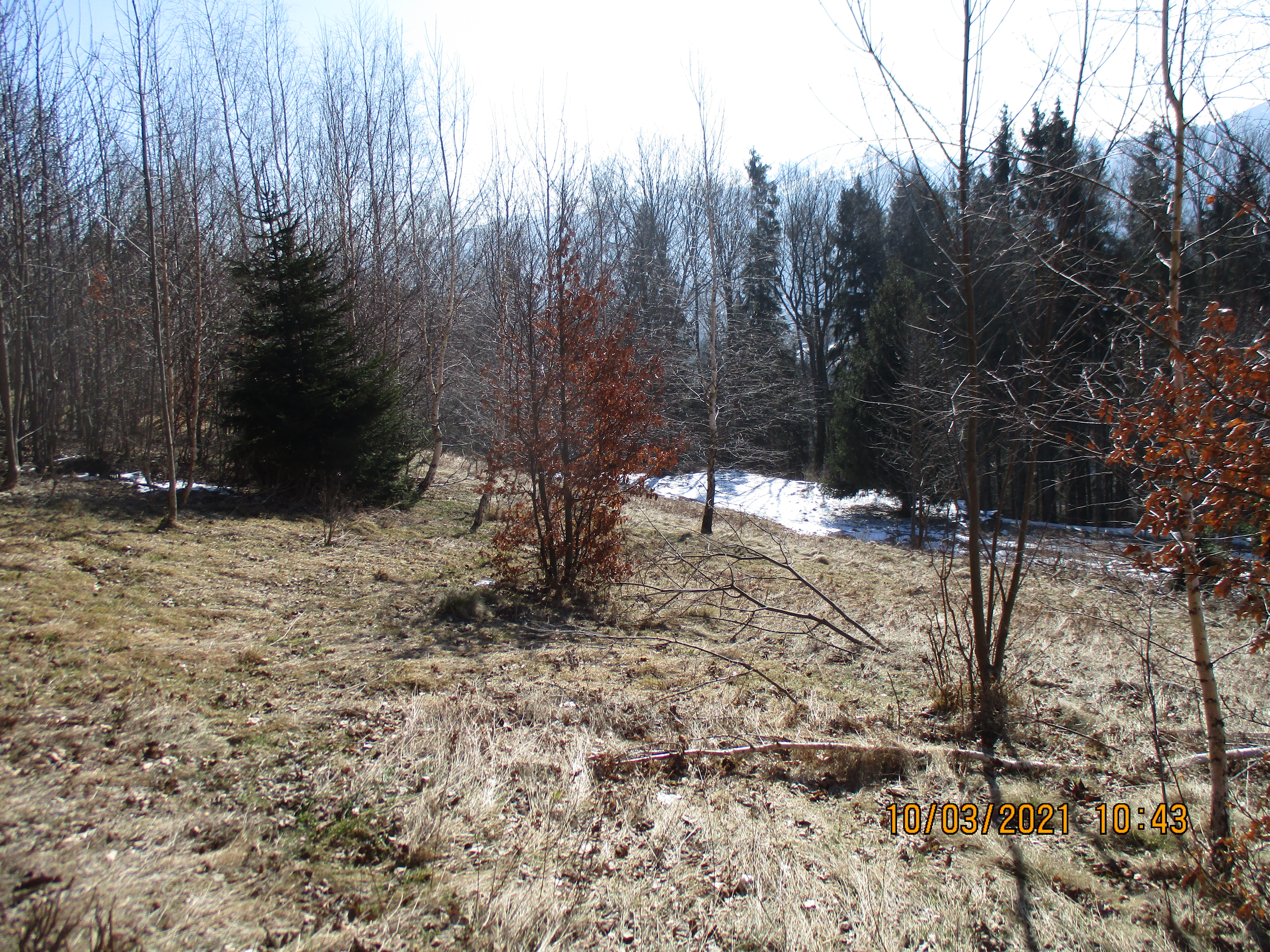 Sudecka 373/1