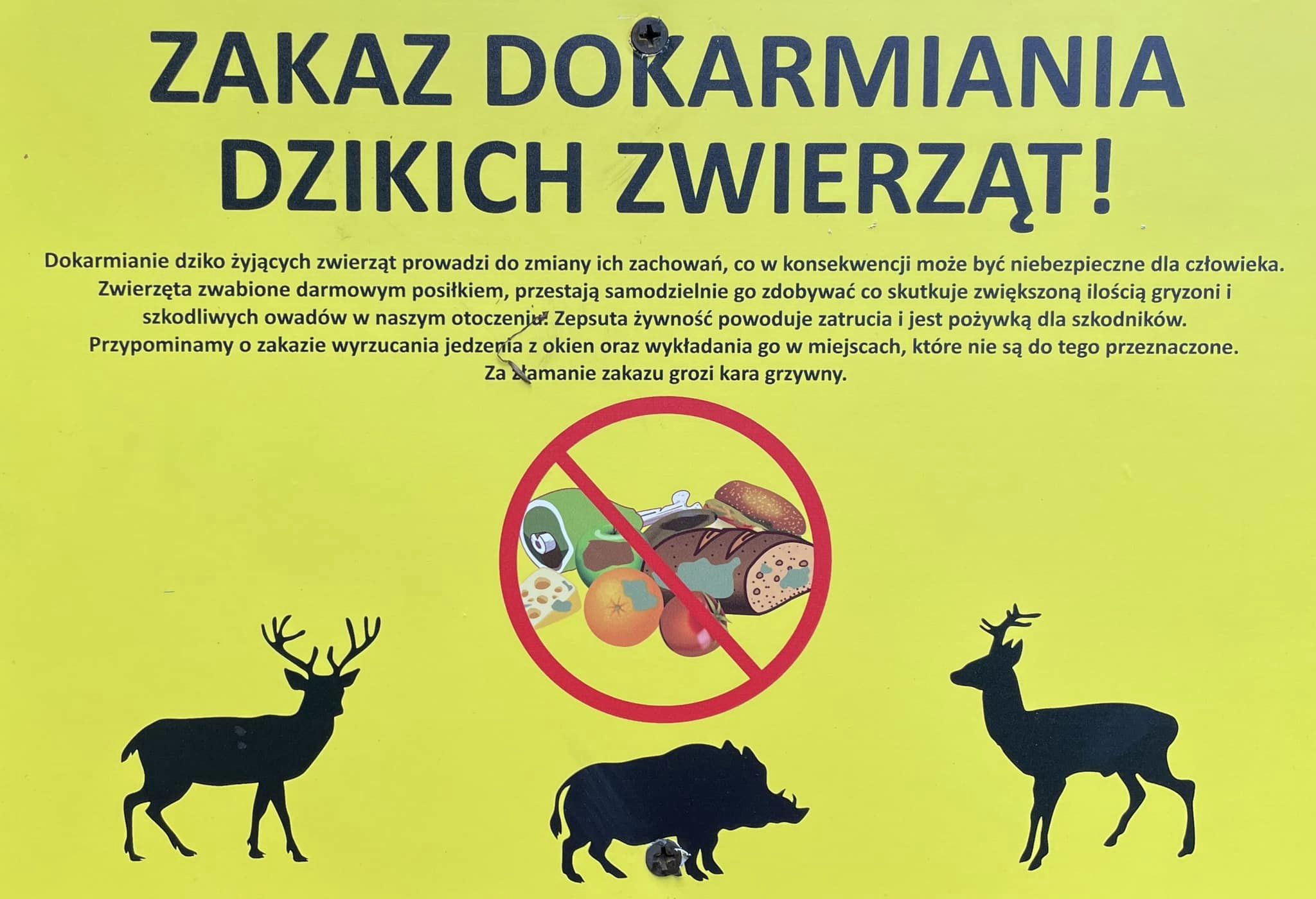 Zakaz dokarmiania dzikich zwierząt