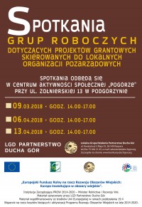 Spotkania grup roboczych dotyczących projektów grantowych skierowanych do lokalnych organizacji pozarządowych