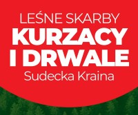 Kurzacy i drwale